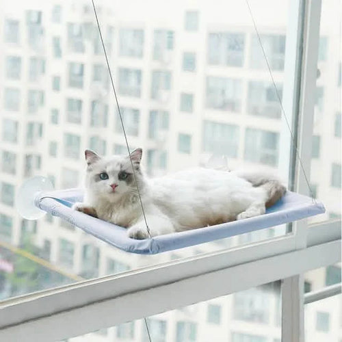 360¬∞ Cat Window Hammock: A Space-Saving Sunny Seat for Indoor Cats!