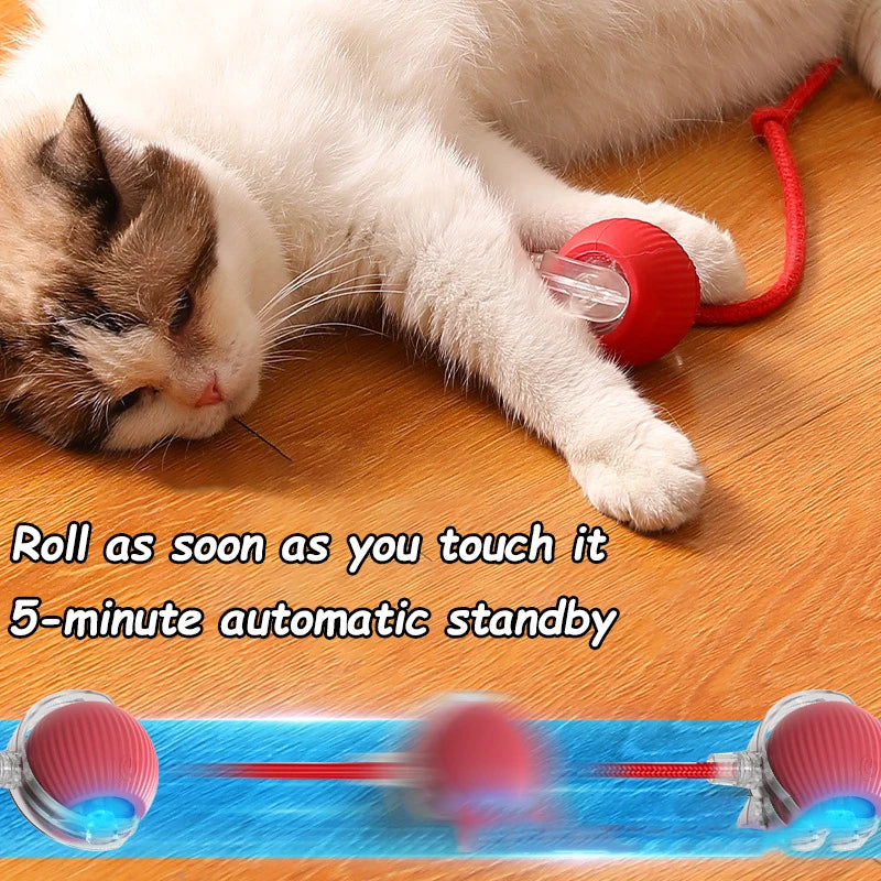Interactive Automatic Rolling Ball Toy for Cats and Dogs, Rechargeable Smart Pet Toy with Faux Tail