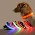 LED Dog Collars Light Adjustable Flashing Luminous Collar Night Anti-Lost